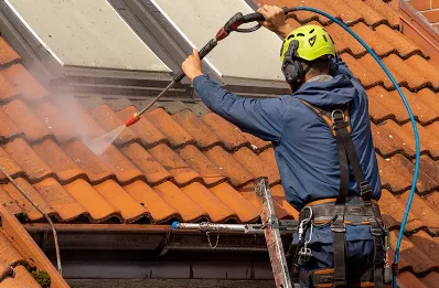Démoussage et hydrofuge de toiture à Cubnezais